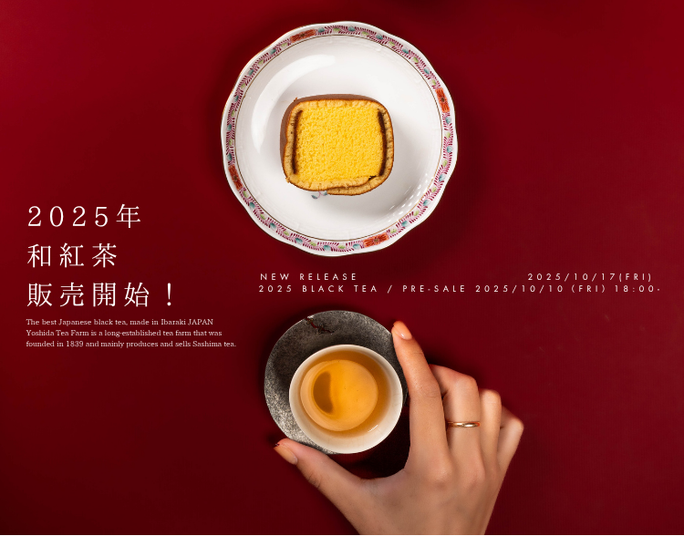 2025年紅茶の販売が始まりました